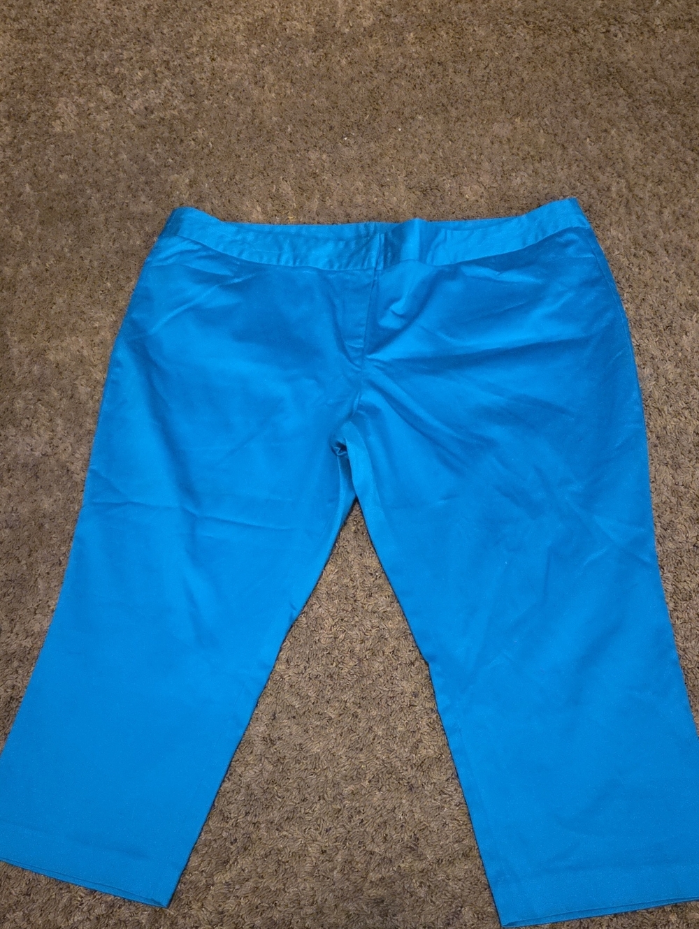 Capri Shorts